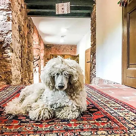 Bed & Breakfast Dom Pod Twierdza Srebrna Góra