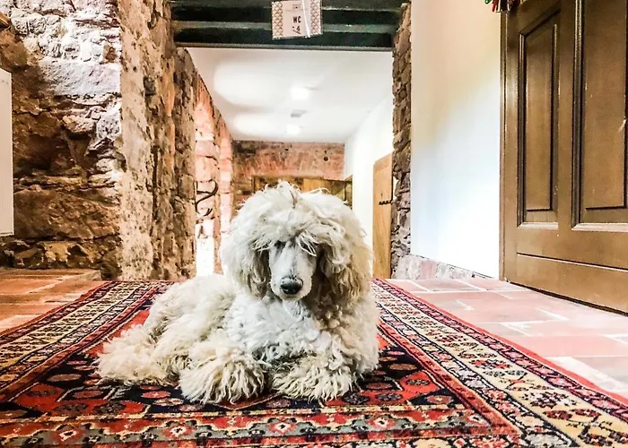 Bed & Breakfast Dom Pod Twierdza